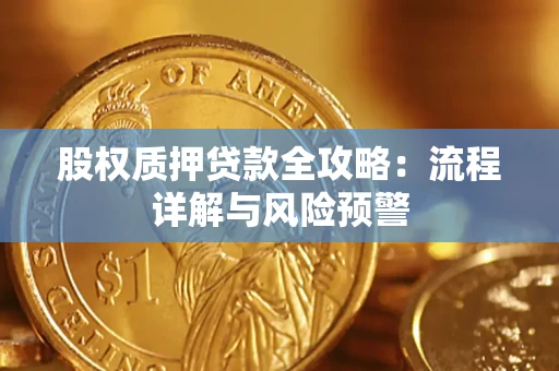 北京股权质押贷款全攻略：流程详解与风险预警