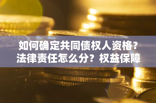 北京如何确定共同债权人资格？法律责任怎么分？权益保障技巧揭秘！