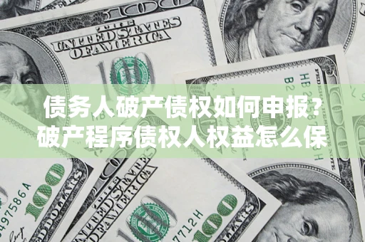 北京债务人破产债权如何申报？破产程序债权人权益怎么保障？