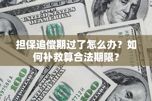 北京担保追偿期过了怎么办？如何补救算合法期限？