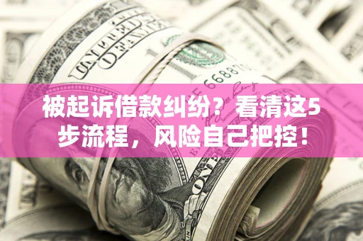 北京被起诉借款纠纷？看清这5步流程，风险自己把控！